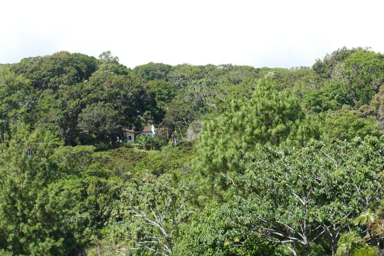 Casitas Vista Verde Bajo Boquete Exteriér fotografie