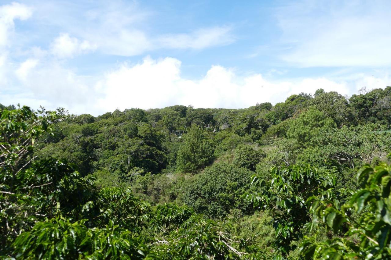 Casitas Vista Verde Bajo Boquete Exteriér fotografie