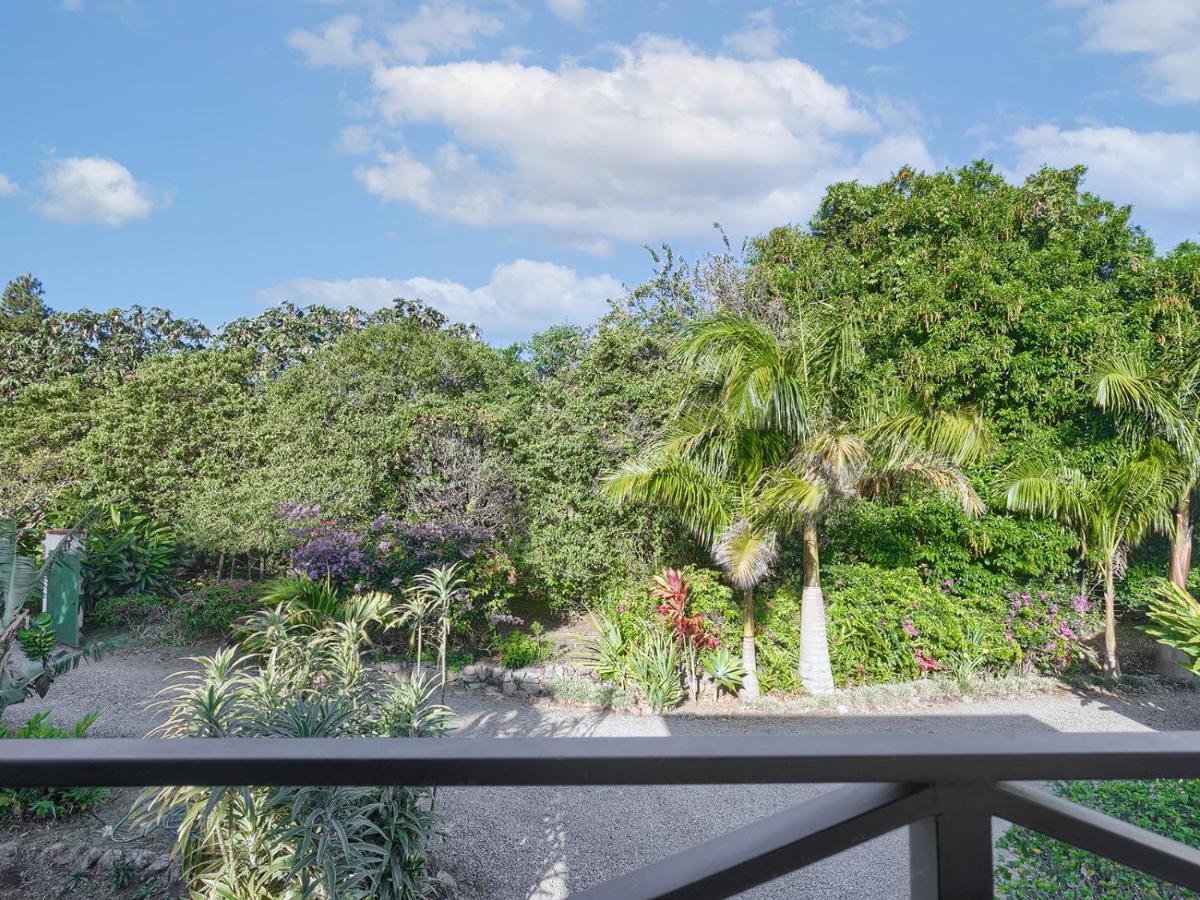 Casitas Vista Verde Bajo Boquete Exteriér fotografie