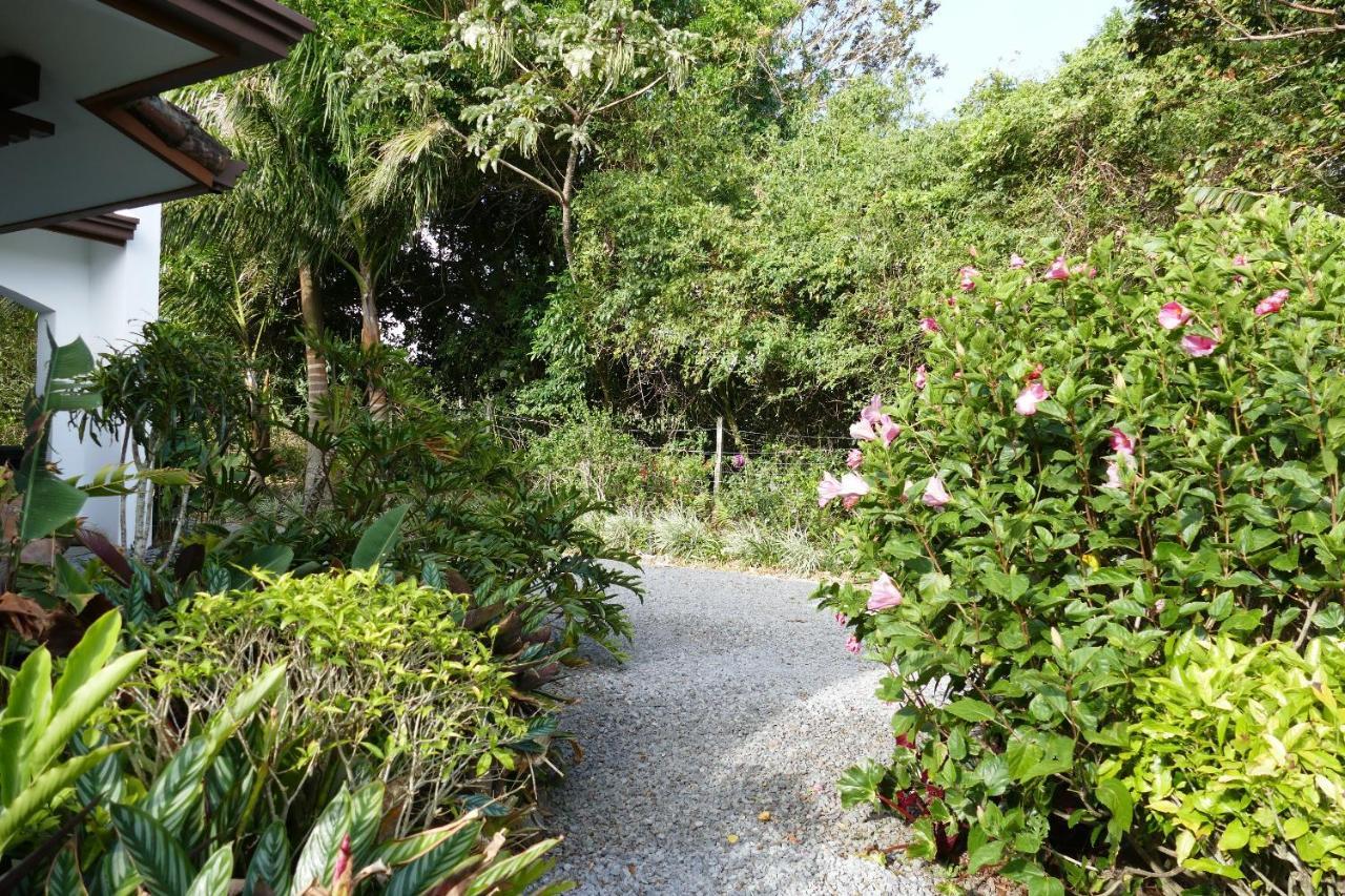 Casitas Vista Verde Bajo Boquete Exteriér fotografie