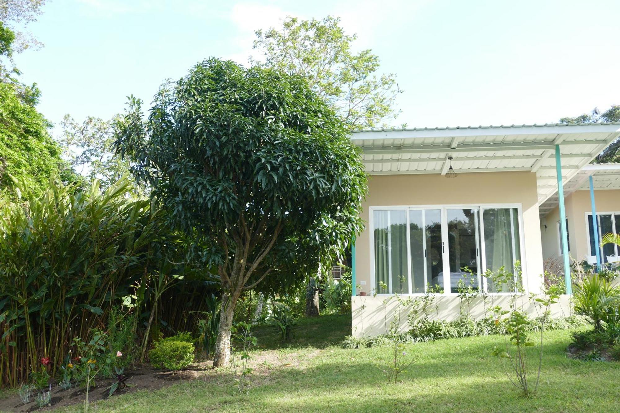 Casitas Vista Verde Bajo Boquete Exteriér fotografie
