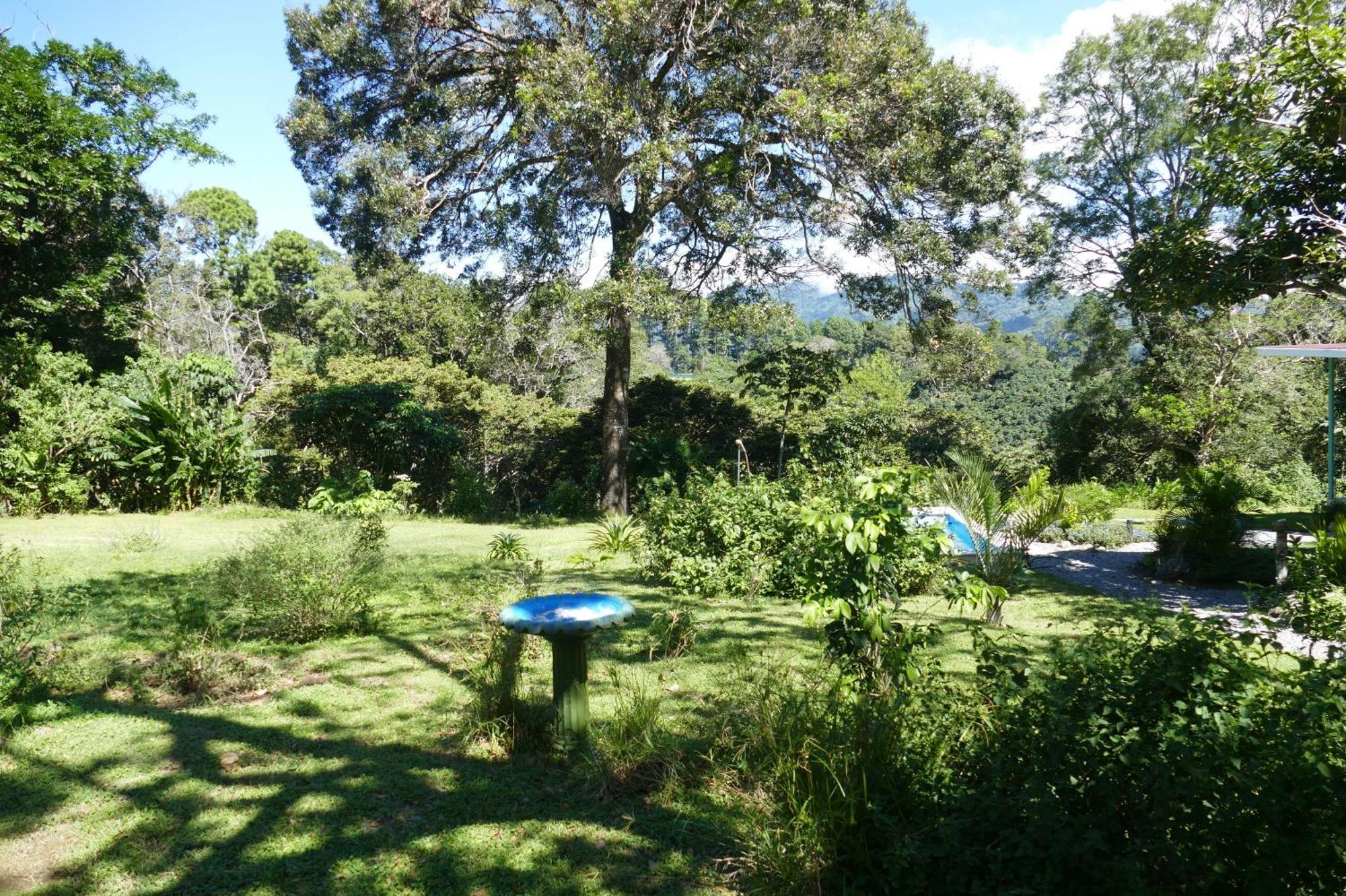 Casitas Vista Verde Bajo Boquete Exteriér fotografie
