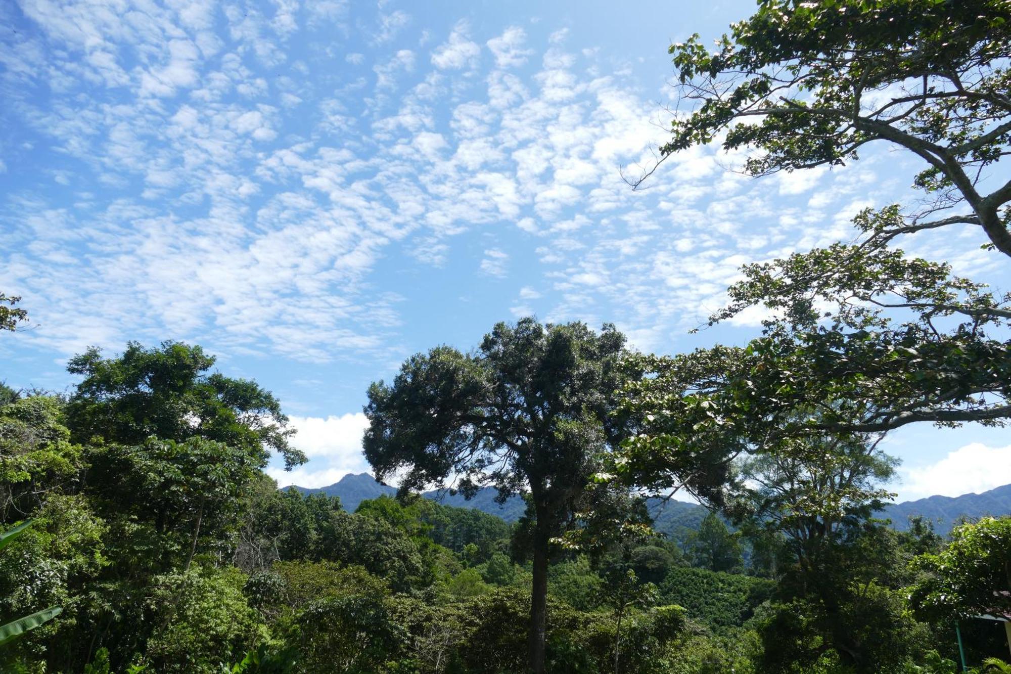 Casitas Vista Verde Bajo Boquete Exteriér fotografie